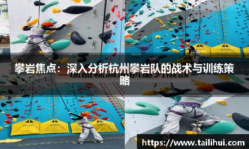 攀岩焦点：深入分析杭州攀岩队的战术与训练策略